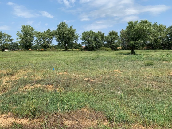 Lot 2 Gavin Dr, Shepherdsville, Kentucky 40165, ,Land,For Sale,Gavin,1597410