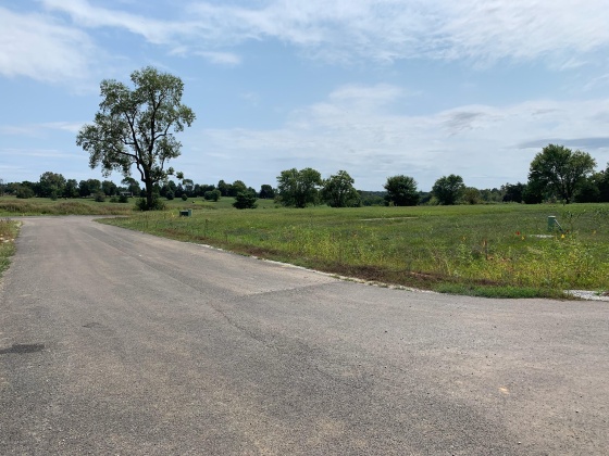 Lot 2 Gavin Dr, Shepherdsville, Kentucky 40165, ,Land,For Sale,Gavin,1597410