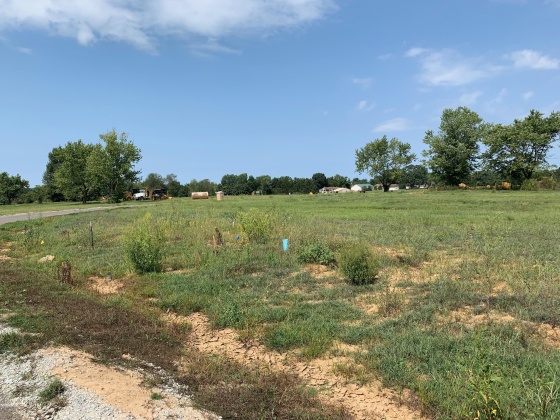 Lot 2 Gavin Dr, Shepherdsville, Kentucky 40165, ,Land,For Sale,Gavin,1597410