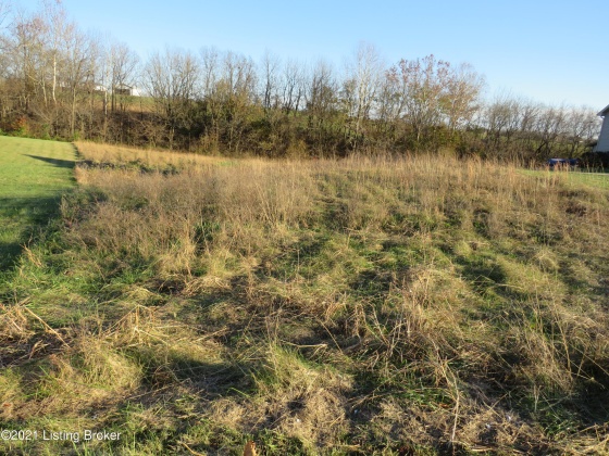 13 Rising Sun, Taylorsville, Kentucky 40071, ,Land,For Sale,Rising Sun,1601476