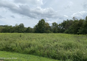 0 Willis Green Dr, Falls Of Rough, Kentucky 40119, ,Land,For Sale,Willis Green,1607056