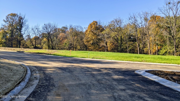 2300 Olmsted View Pl, Louisville, Kentucky 40205, ,Land,For Sale,Olmsted View,1612377