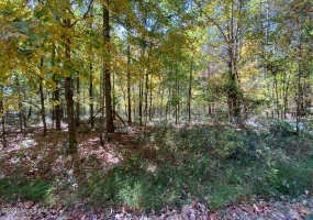 L32 Ted Logsdon Rd, Clarkson, Kentucky 42726, ,Land,For Sale,Ted Logsdon,1614908