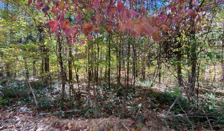 L32 Ted Logsdon Rd, Clarkson, Kentucky 42726, ,Land,For Sale,Ted Logsdon,1614908