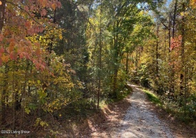 L32 Ted Logsdon Rd, Clarkson, Kentucky 42726, ,Land,For Sale,Ted Logsdon,1614908