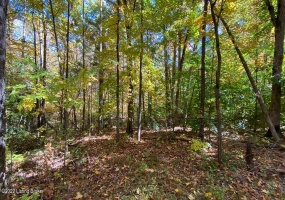 L32 Ted Logsdon Rd, Clarkson, Kentucky 42726, ,Land,For Sale,Ted Logsdon,1614908