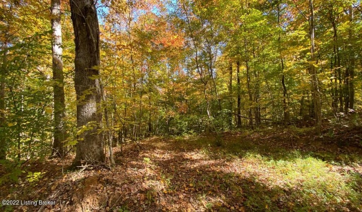 L32 Ted Logsdon Rd, Clarkson, Kentucky 42726, ,Land,For Sale,Ted Logsdon,1614908