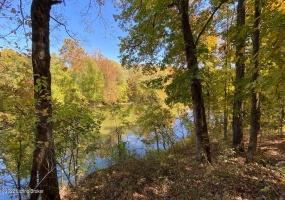 L32 Ted Logsdon Rd, Clarkson, Kentucky 42726, ,Land,For Sale,Ted Logsdon,1614908