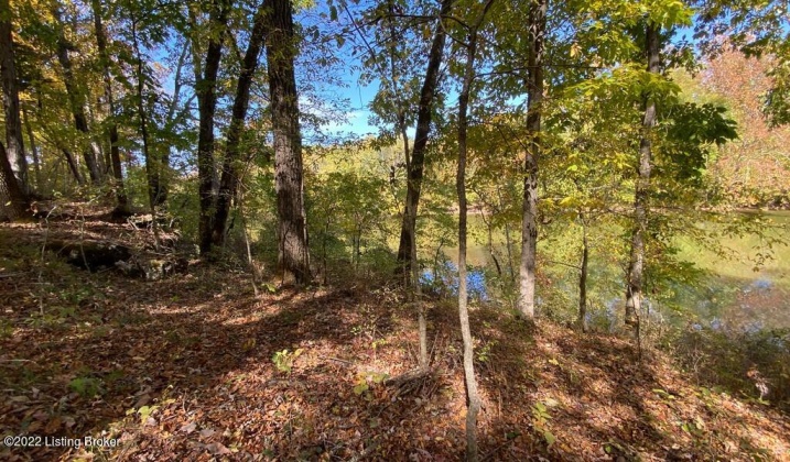 L32 Ted Logsdon Rd, Clarkson, Kentucky 42726, ,Land,For Sale,Ted Logsdon,1614908