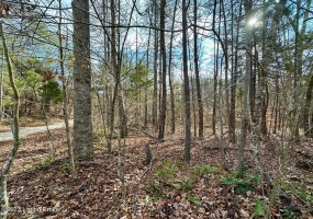 L32 Ted Logsdon Rd, Clarkson, Kentucky 42726, ,Land,For Sale,Ted Logsdon,1614908