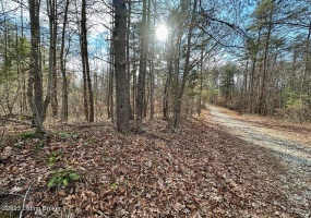 L32 Ted Logsdon Rd, Clarkson, Kentucky 42726, ,Land,For Sale,Ted Logsdon,1614908