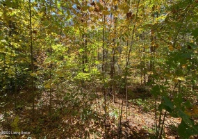 L32 Ted Logsdon Rd, Clarkson, Kentucky 42726, ,Land,For Sale,Ted Logsdon,1614908