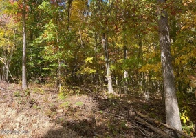 L34 Ted Logsdon Rd, Clarkson, Kentucky 42726, ,Land,For Sale,Ted Logsdon,1614914