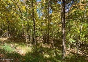 L34 Ted Logsdon Rd, Clarkson, Kentucky 42726, ,Land,For Sale,Ted Logsdon,1614914