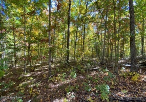 L34 Ted Logsdon Rd, Clarkson, Kentucky 42726, ,Land,For Sale,Ted Logsdon,1614914