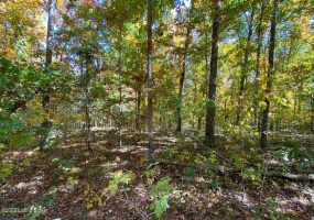 L34 Ted Logsdon Rd, Clarkson, Kentucky 42726, ,Land,For Sale,Ted Logsdon,1614914