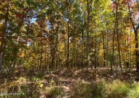 L34 Ted Logsdon Rd, Clarkson, Kentucky 42726, ,Land,For Sale,Ted Logsdon,1614914