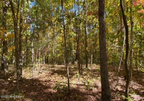 L34 Ted Logsdon Rd, Clarkson, Kentucky 42726, ,Land,For Sale,Ted Logsdon,1614914