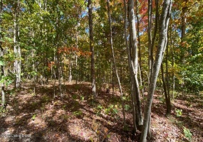 L34 Ted Logsdon Rd, Clarkson, Kentucky 42726, ,Land,For Sale,Ted Logsdon,1614914