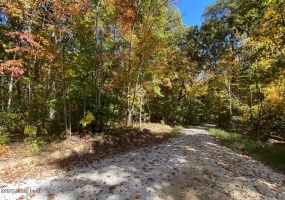 L34 Ted Logsdon Rd, Clarkson, Kentucky 42726, ,Land,For Sale,Ted Logsdon,1614914