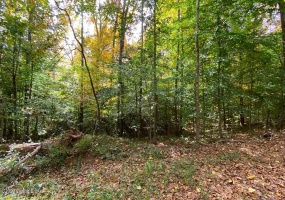 L55 Lizzie Dr, Clarkson, Kentucky 42726, ,Land,For Sale,Lizzie,1615042