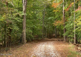 L55 Lizzie Dr, Clarkson, Kentucky 42726, ,Land,For Sale,Lizzie,1615042