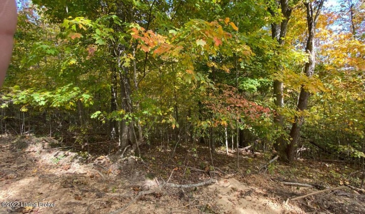 L55 Lizzie Dr, Clarkson, Kentucky 42726, ,Land,For Sale,Lizzie,1615042