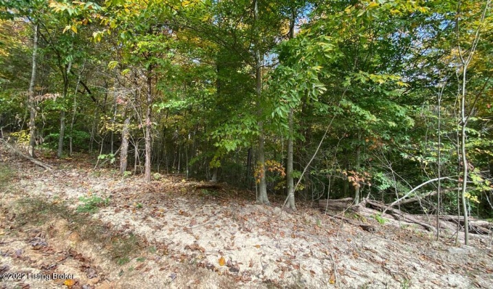 L55 Lizzie Dr, Clarkson, Kentucky 42726, ,Land,For Sale,Lizzie,1615042