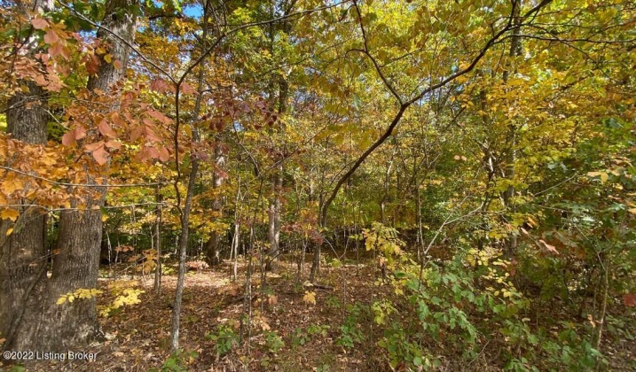 L57 Ted Logsdon Rd, Clarkson, Kentucky 42726, ,Land,For Sale,Ted Logsdon,1615044