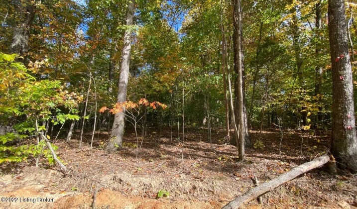 L57 Ted Logsdon Rd, Clarkson, Kentucky 42726, ,Land,For Sale,Ted Logsdon,1615044