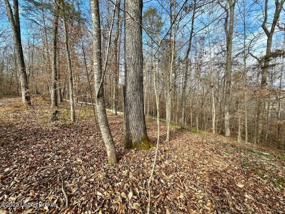 L57 Ted Logsdon Rd, Clarkson, Kentucky 42726, ,Land,For Sale,Ted Logsdon,1615044