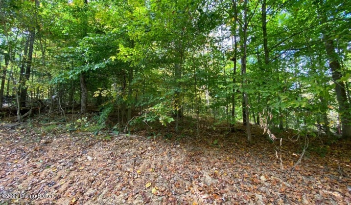 L57 Ted Logsdon Rd, Clarkson, Kentucky 42726, ,Land,For Sale,Ted Logsdon,1615044