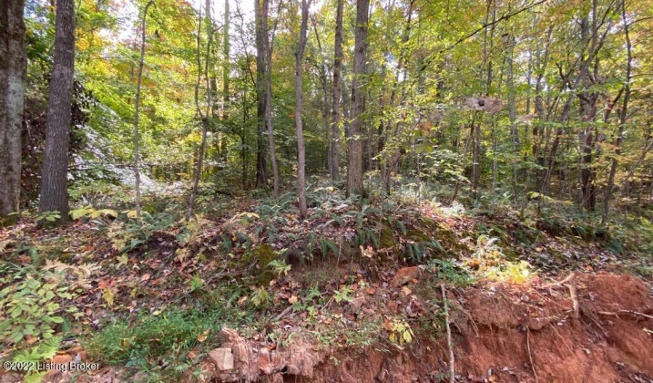 L57 Ted Logsdon Rd, Clarkson, Kentucky 42726, ,Land,For Sale,Ted Logsdon,1615044