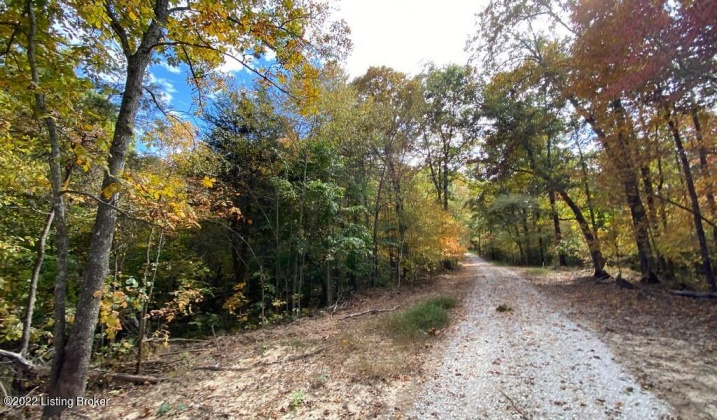 L57 Ted Logsdon Rd, Clarkson, Kentucky 42726, ,Land,For Sale,Ted Logsdon,1615044