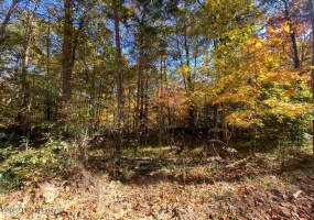 L65 Philip Dr, Clarkson, Kentucky 42726, ,Land,For Sale,Philip,1615107