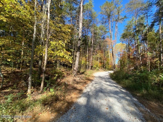 L65 Philip Dr, Clarkson, Kentucky 42726, ,Land,For Sale,Philip,1615107