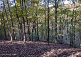 4800 Blevins Gap Rd, Louisville, Kentucky 40272, ,Land,For Sale,Blevins Gap,1615642