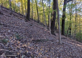 4800 Blevins Gap Rd, Louisville, Kentucky 40272, ,Land,For Sale,Blevins Gap,1615642