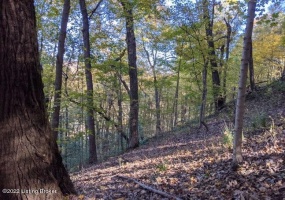 4800 Blevins Gap Rd, Louisville, Kentucky 40272, ,Land,For Sale,Blevins Gap,1615642