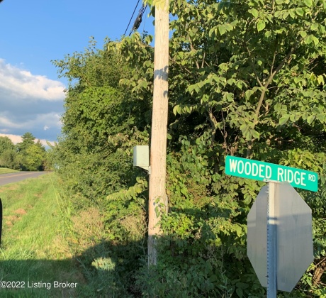 1 Wooded Ridge Rd, Sulphur, Kentucky 40055, ,Land,For Sale,Wooded Ridge,1620787