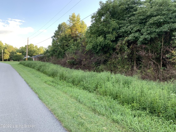 1 Wooded Ridge Rd, Sulphur, Kentucky 40055, ,Land,For Sale,Wooded Ridge,1620787