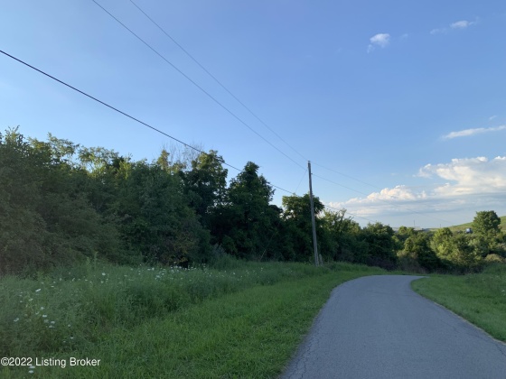 1 Wooded Ridge Rd, Sulphur, Kentucky 40055, ,Land,For Sale,Wooded Ridge,1620787