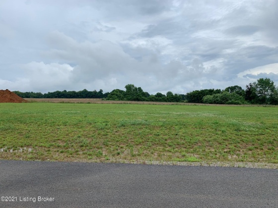 Lot 87 Megan Dr, Shepherdsville, Kentucky 40165, ,Land,For Sale,Megan,1622081