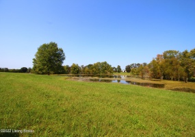 300 Flood Rd, Shelbyville, Kentucky 40065, ,Land,For Sale,Flood,1622362