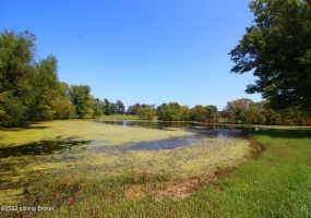 300 Flood Rd, Shelbyville, Kentucky 40065, ,Land,For Sale,Flood,1622362