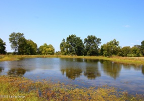 960 Christianburg Rd, Shelbyville, Kentucky 40065, ,Land,For Sale,Christianburg,1622376