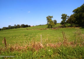 960 Christianburg Rd, Shelbyville, Kentucky 40065, ,Land,For Sale,Christianburg,1622376