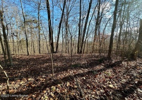 L59 Ted Logsdon Rd, Clarkson, Kentucky 42726, ,Land,For Sale,Ted Logsdon,1615085