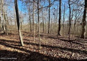 L59 Ted Logsdon Rd, Clarkson, Kentucky 42726, ,Land,For Sale,Ted Logsdon,1615085