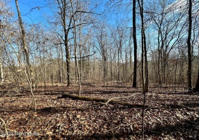 L59 Ted Logsdon Rd, Clarkson, Kentucky 42726, ,Land,For Sale,Ted Logsdon,1615085